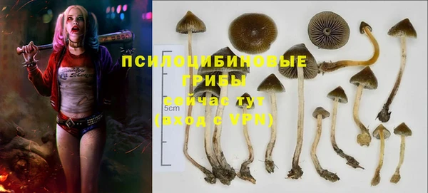 хмурый Инсар