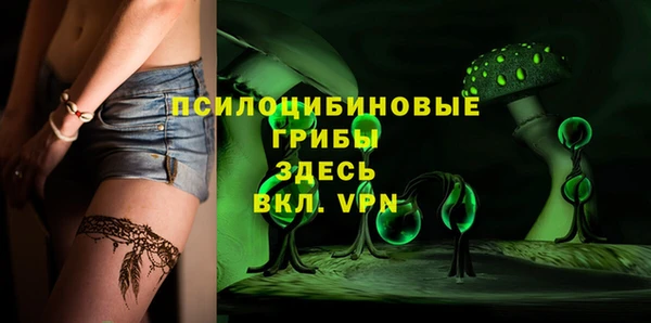 гашик Иннополис