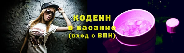 хмурый Инсар