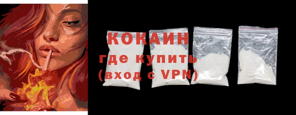 хмурый Инсар
