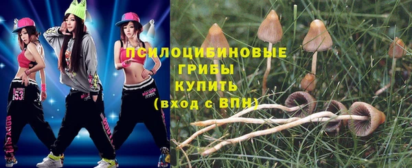 метамфетамин Инта