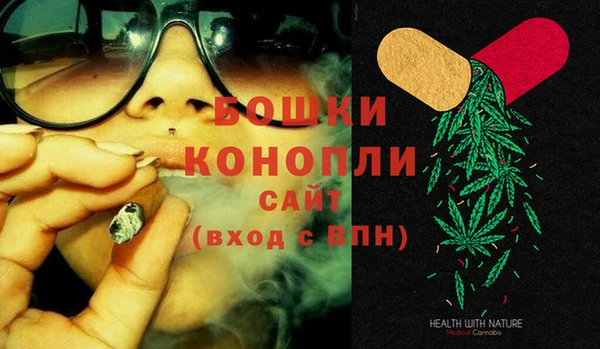 хмурый Инсар