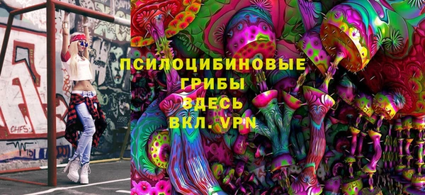 хмурый Инсар