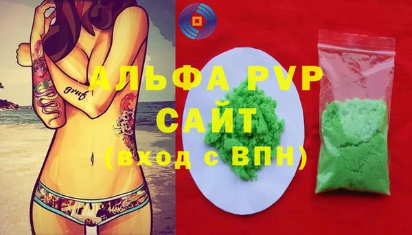 хмурый Инсар