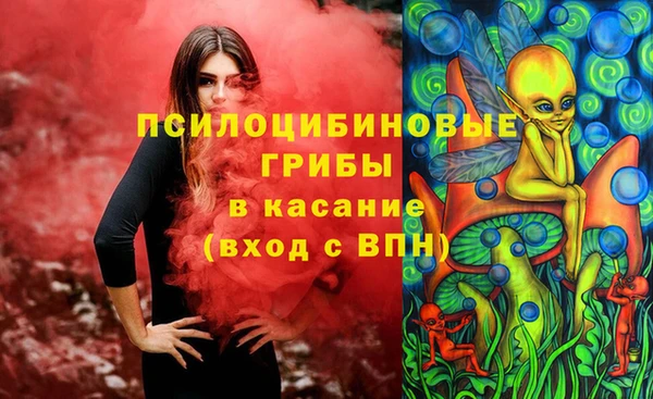 хмурый Инсар