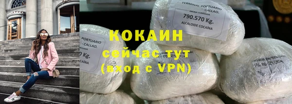 хмурый Инсар