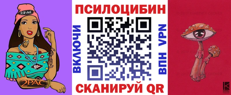 Псилоцибиновые грибы Magic Shrooms  Купить закладки  Пласт 